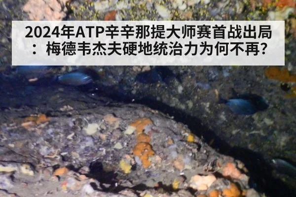 2024年ATP辛辛那提大师赛首战出局：梅德韦杰夫硬地统治力为何不再？