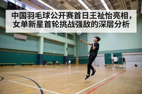 badminton tournament court